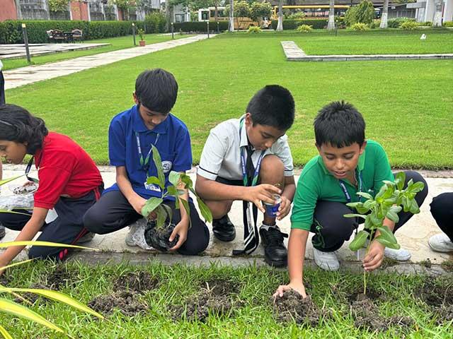 Plant A Sapling
